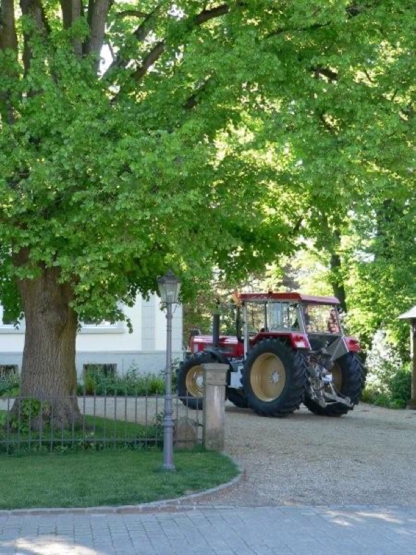 Rittergut Hornoldendorf, Bild 134