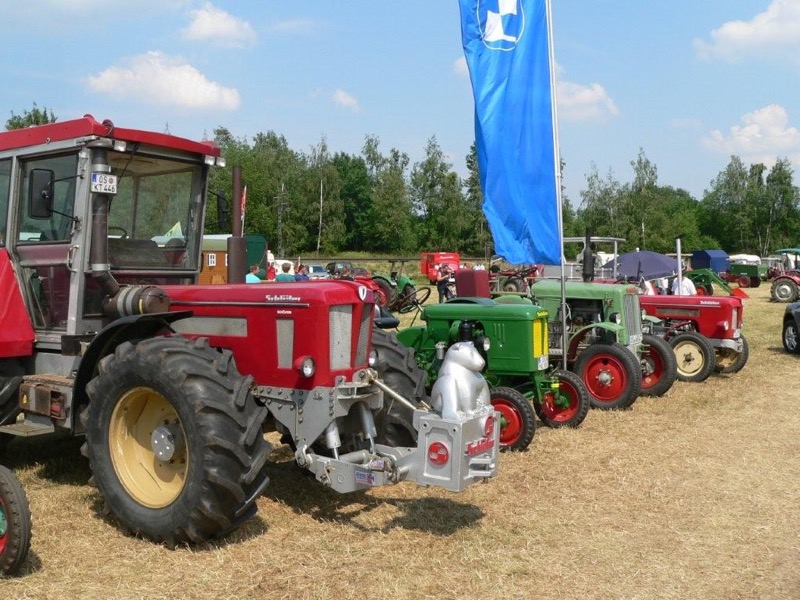 Hasbergen, Bild 36