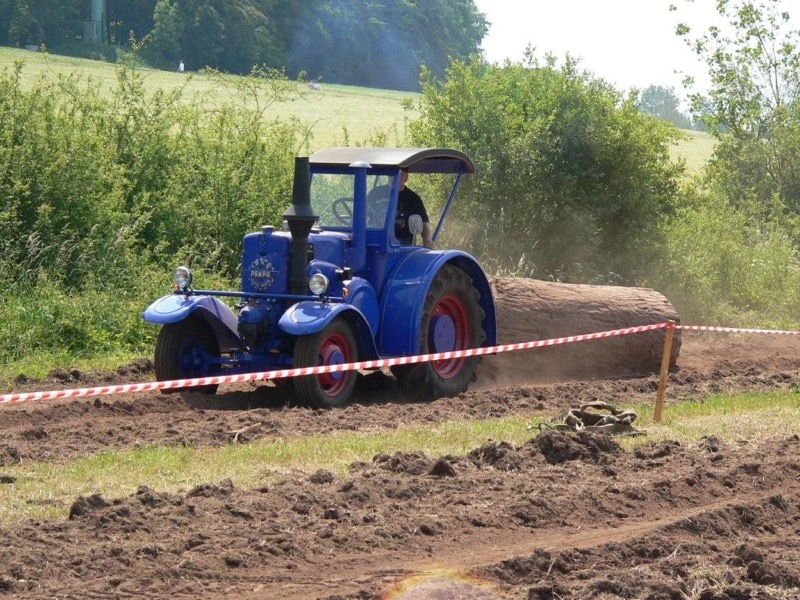 Hasbergen, Bild 41