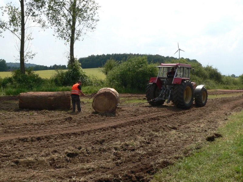 Hasbergen, Bild 46