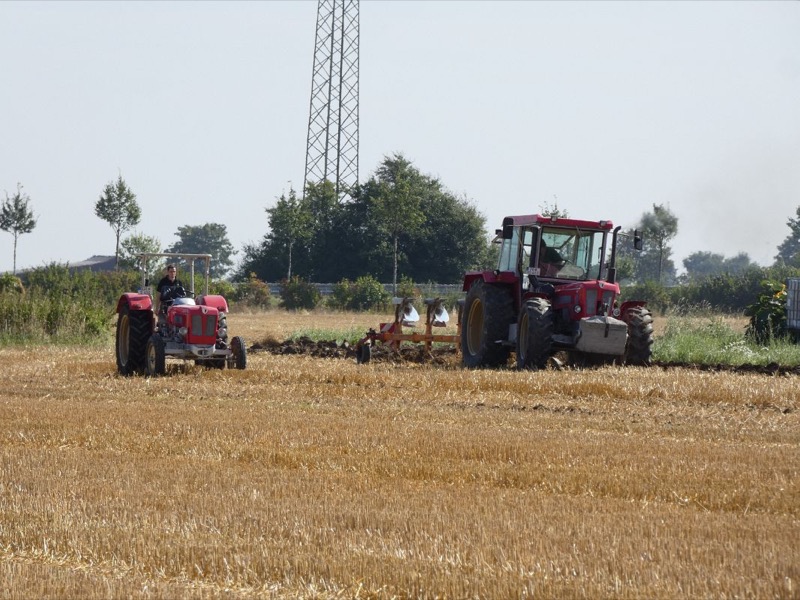 kleiner Feldtag Paderborn, Bild 16