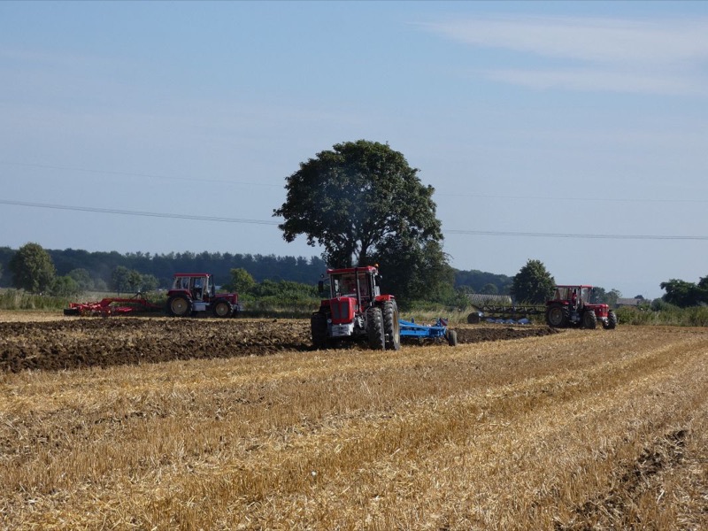 kleiner Feldtag Paderborn, Bild 17