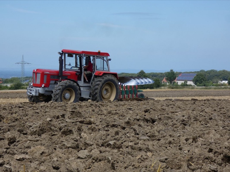 kleiner Feldtag Paderborn, Bild 35