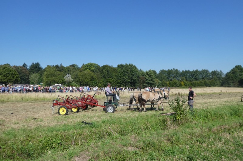 Wendlinghausen, Bild 6