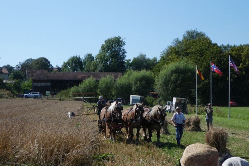 Wendlinghausen, Bild 8