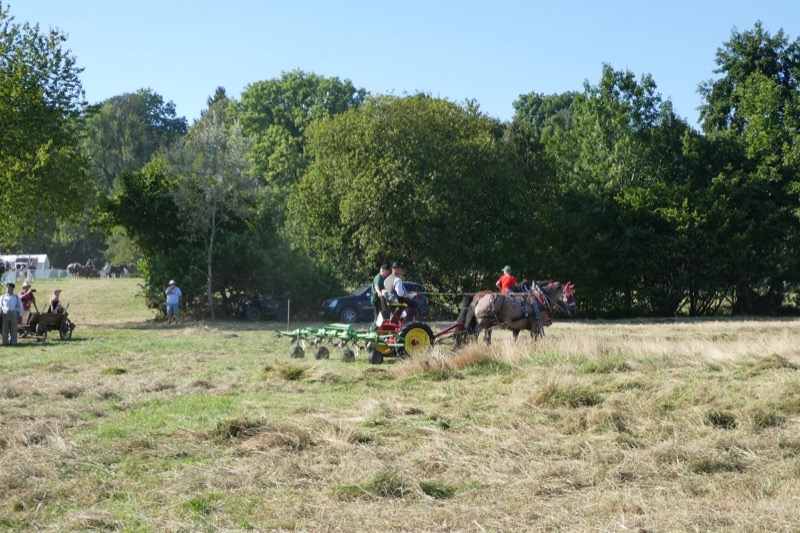 Wendlinghausen, Bild 17