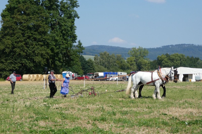 Wendlinghausen, Bild 26