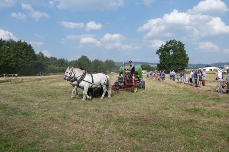 Wendlinghausen, Bild 29