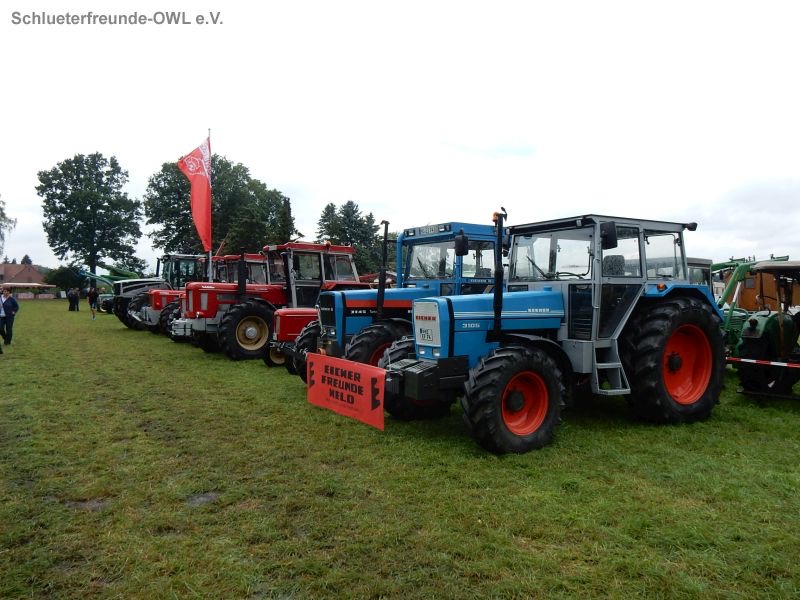 Rahden Varlheide, Bild 31