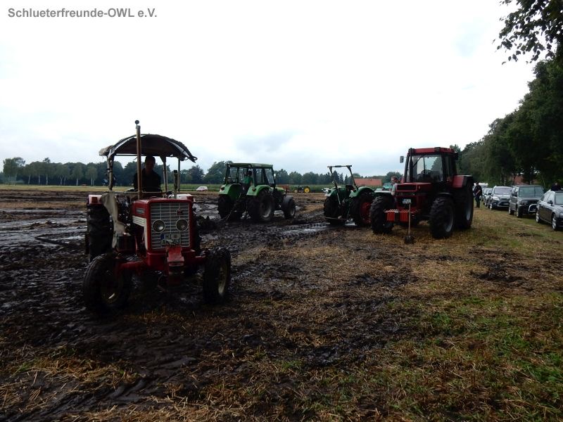 Rahden Varlheide, Bild 74