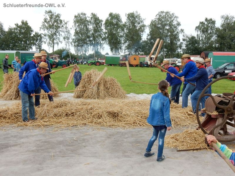 Rahden Varlheide, Bild 81