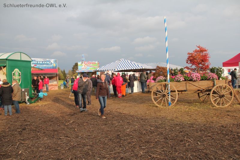 5. Feldtag 2016, Bild 9
