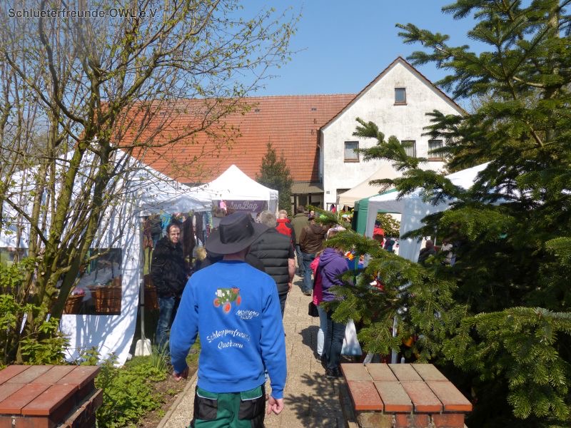 Rahmenprogramm, Bild 62