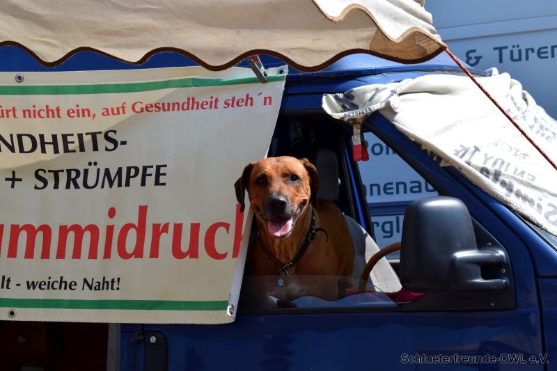 Rahmenprogramm, Bild 123