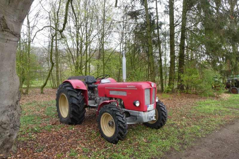 Reitturnier Bad Oeynhausen, Bild 5