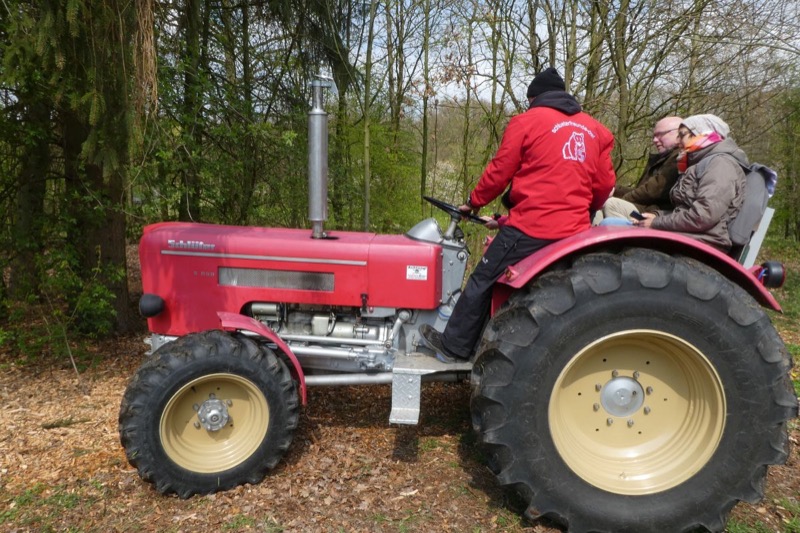 Reitturnier Bad Oeynhausen, Bild 23