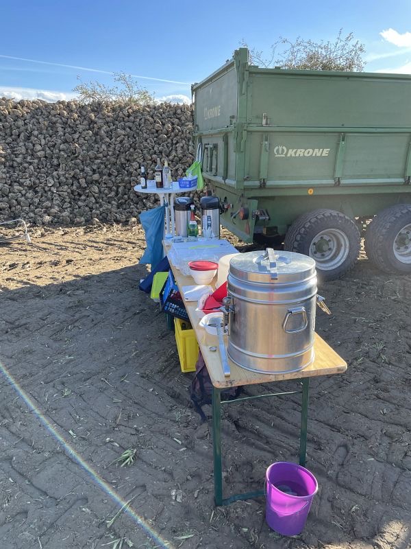 Rüben roden, Bild 26