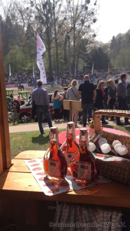 Reitturnier Bad Oeynhausen, Bild 6