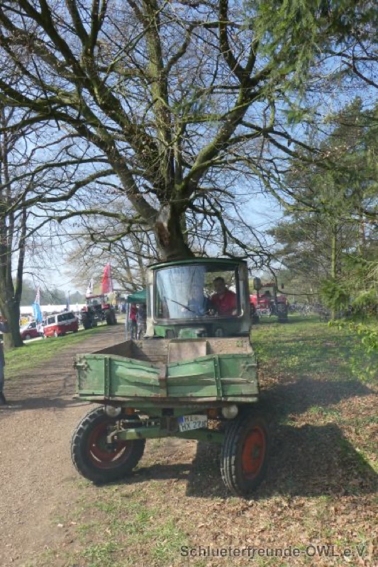Reitturnier Bad Oeynhausen, Bild 13