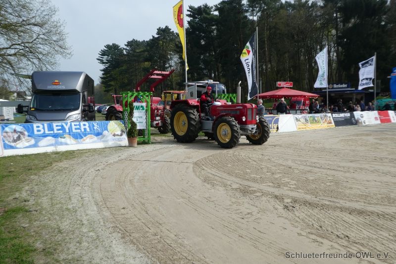 Reitturnier Bad Oeynhausen, Bild 15