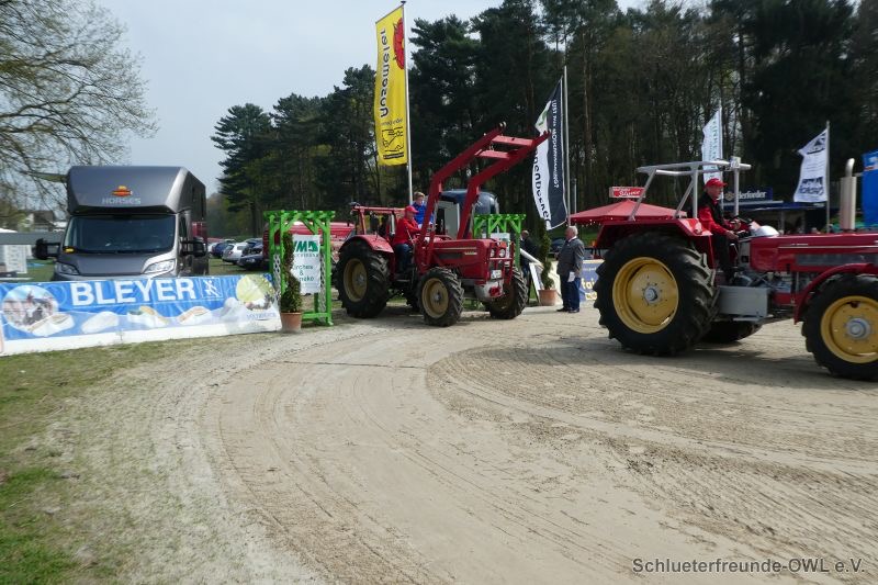 Reitturnier Bad Oeynhausen, Bild 16