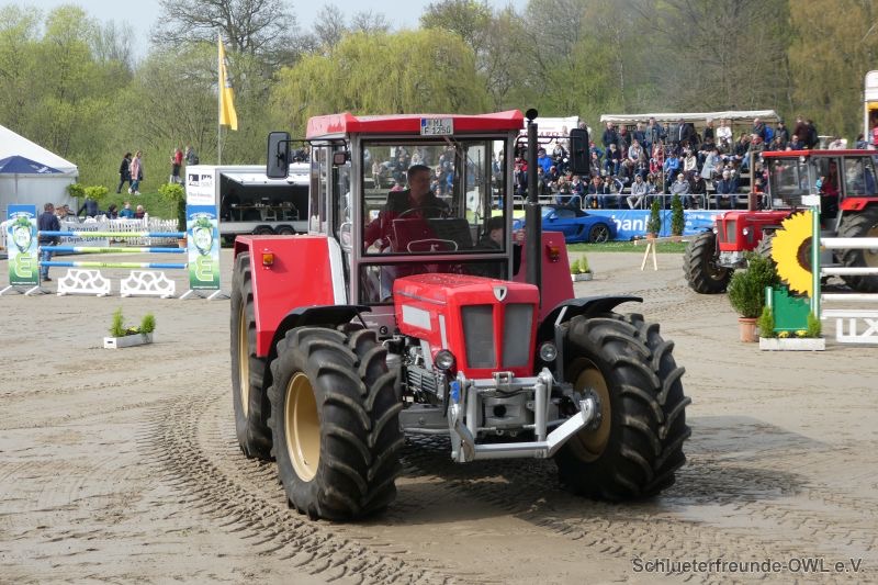 Reitturnier Bad Oeynhausen, Bild 19