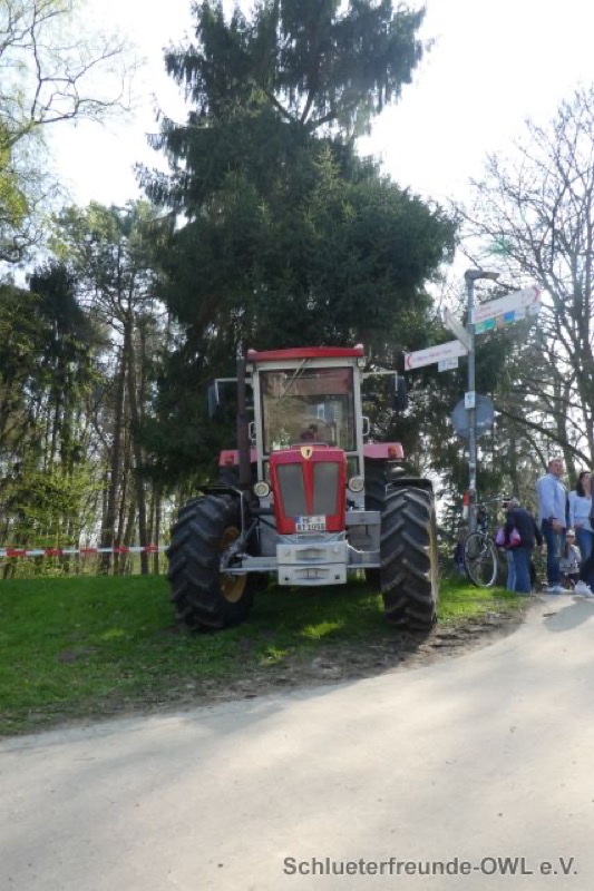 Reitturnier Bad Oeynhausen, Bild 19