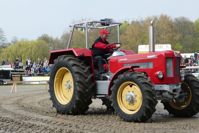 Reitturnier Bad Oeynhausen, Bild 21