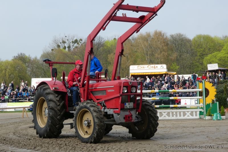 Reitturnier Bad Oeynhausen, Bild 22