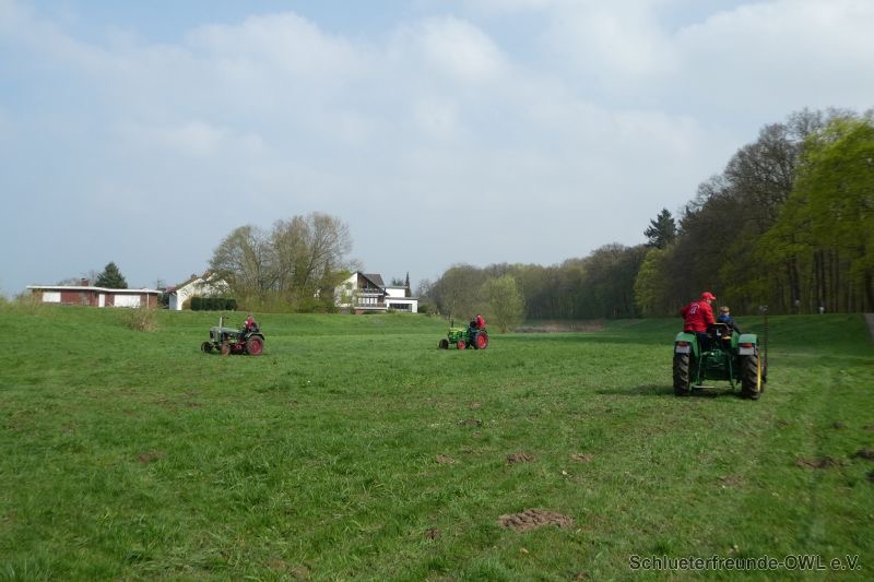 Reitturnier Bad Oeynhausen, Bild 29