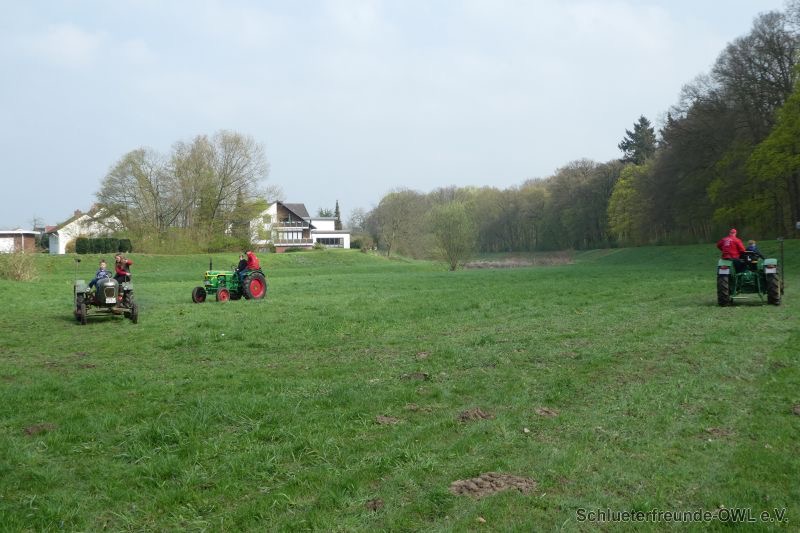 Reitturnier Bad Oeynhausen, Bild 30