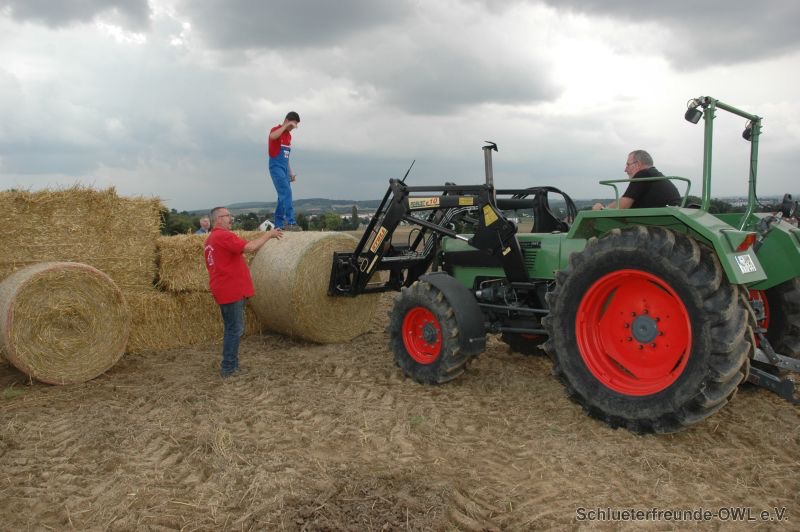4. Feldtag 2014, Bild 9