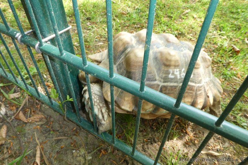 1. Ausfahrt in den Tierpark Herford, Bild 35