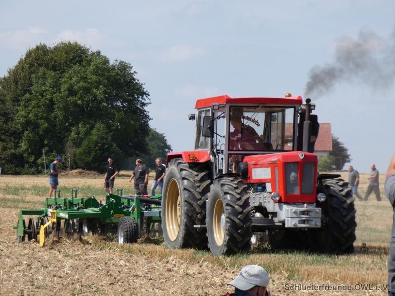 6. Feldtag 2018, Bild 8