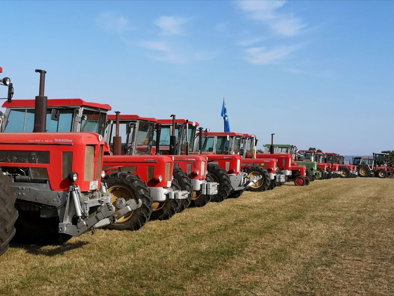 2019, Bild 22
