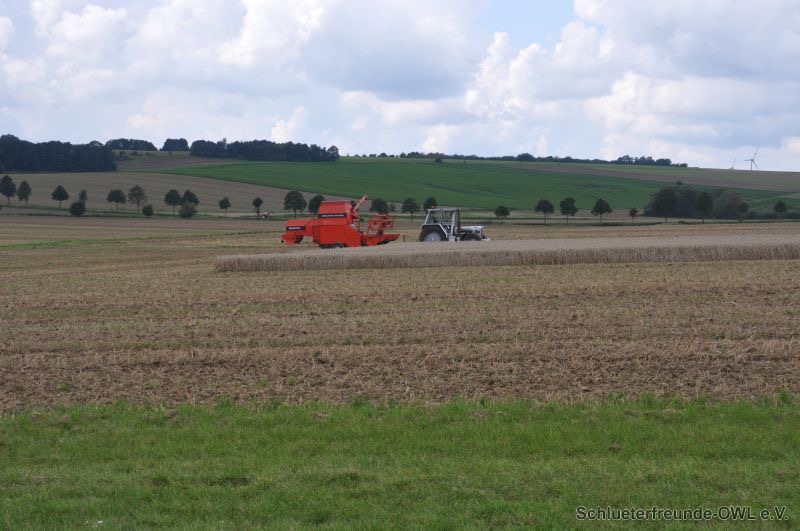 Watzum, Bild 11