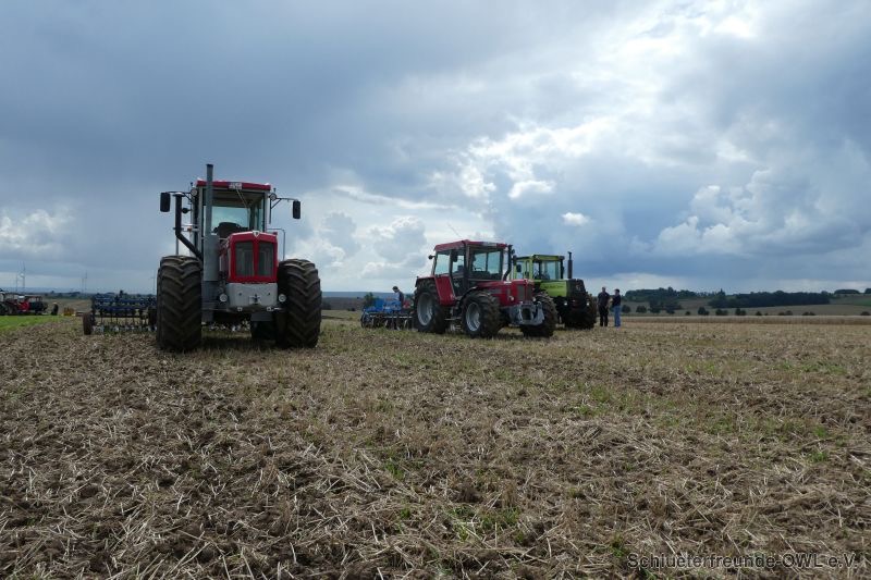 Watzum, Bild 31