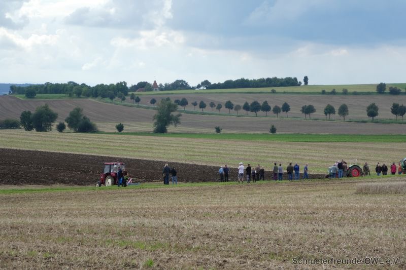 Watzum, Bild 34