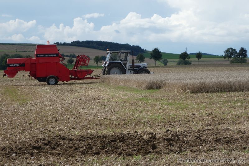 Watzum, Bild 68