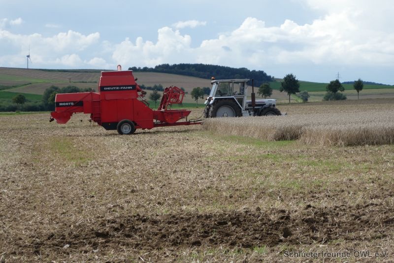 Watzum, Bild 69
