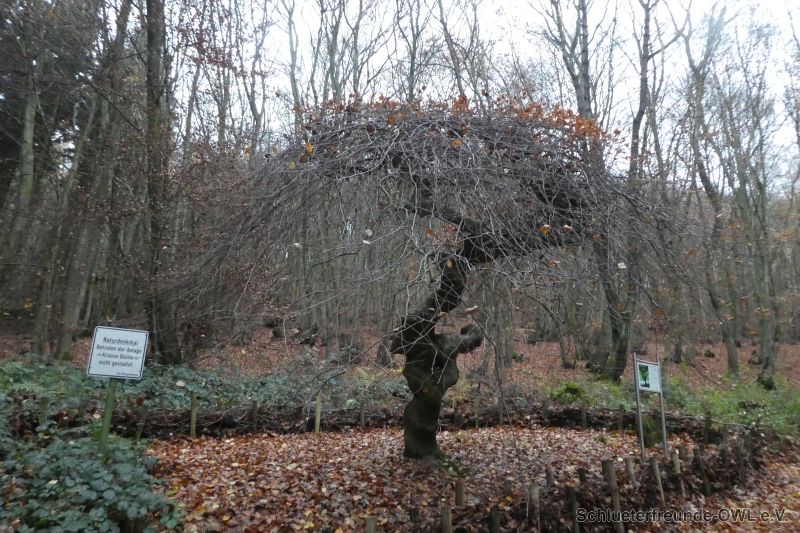 Jahresabschlussfeier Wilder Schmied, Bild 12