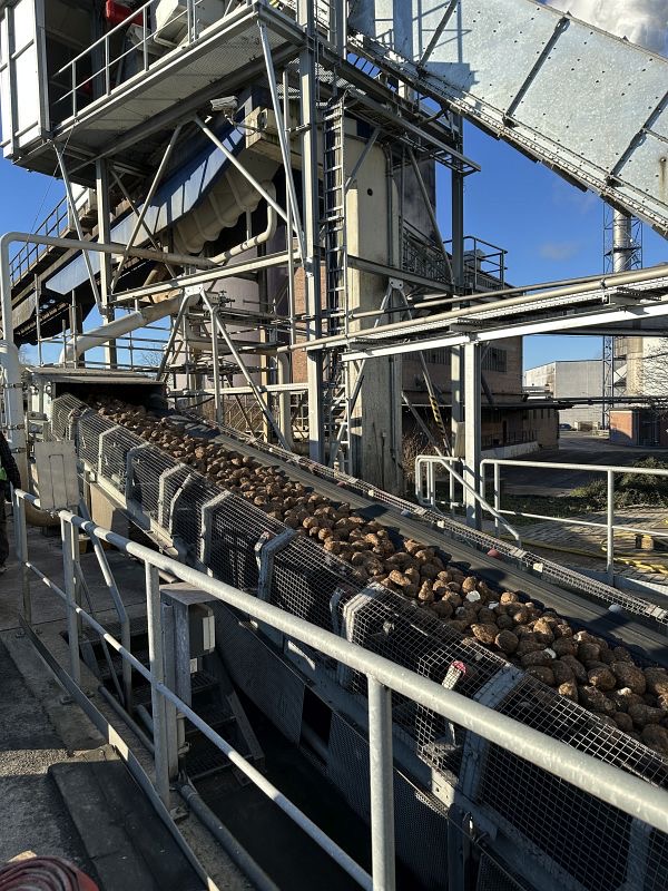 Besichtigung der Zuckerrübenfabrik, Bild 15