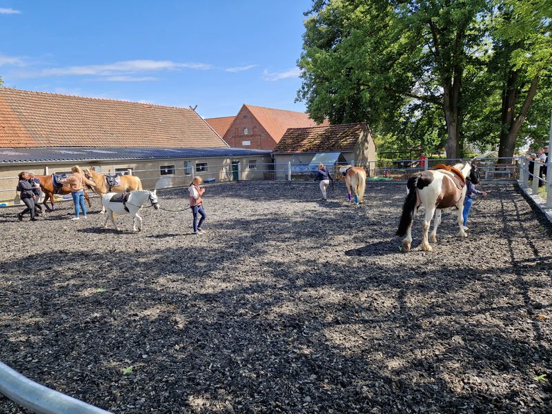 Rahmenprogramm, Bild 18